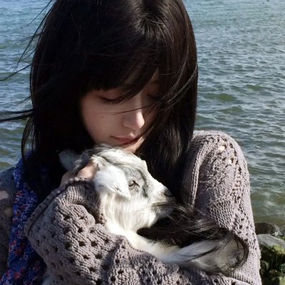 叹气的亡灵想隐退第二季